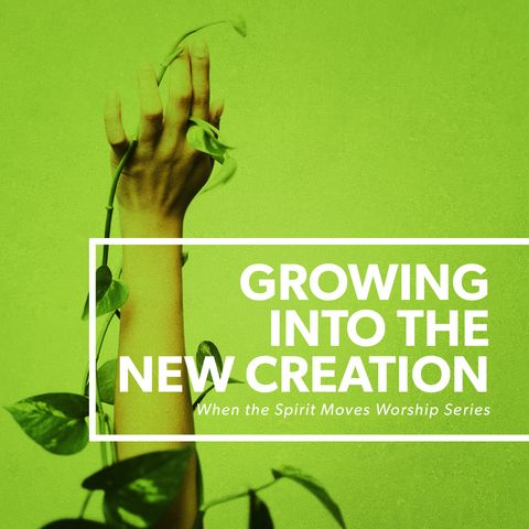 Growing in the New Creation