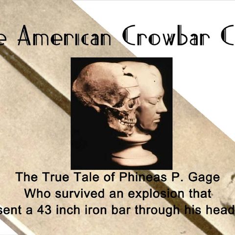 The American Crowbar Case