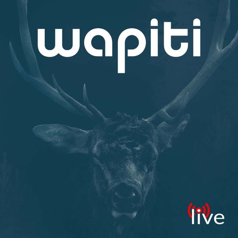 A Complete Revamp + The Foundation of Wapiti