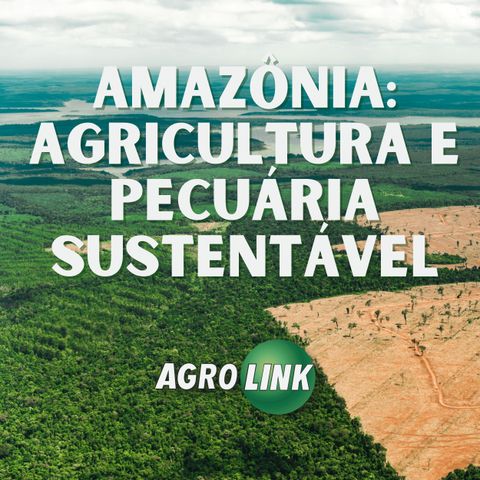 Como produzir e preservar na Amazônia?