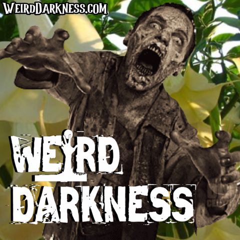 “A DRUG THAT CREATES ZOMBIES” and More True Paranormal Stories! (Plus Bloopers!) #WeirdDarkness