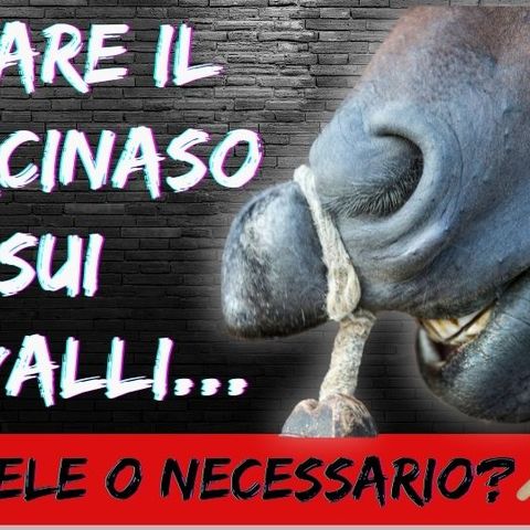 # 140 - La verità dietro l'uso del Torcinaso