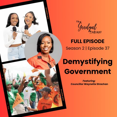 Demystifying Government ft Waynette Strachan