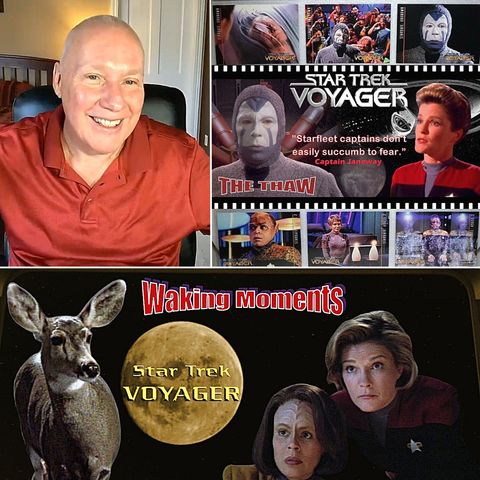 Star Trek - Voyager Episodes - 'Waking Dreams' and 'The Thaw' - Seeing I'm the Dreamer of the Dream with David Hoffmeister