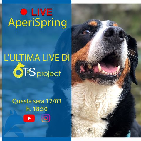 #02 AperiSpring LIve - L'ultima Live di T&S project