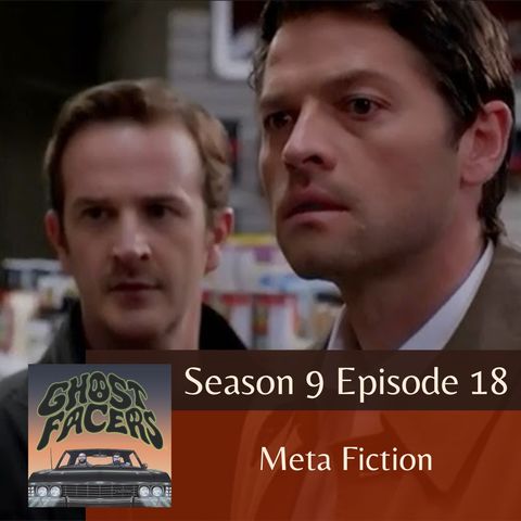 9.18: Meta Fiction