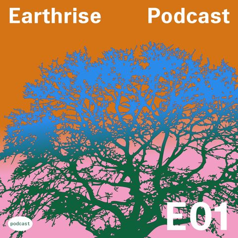 #1 Earthrise Preview