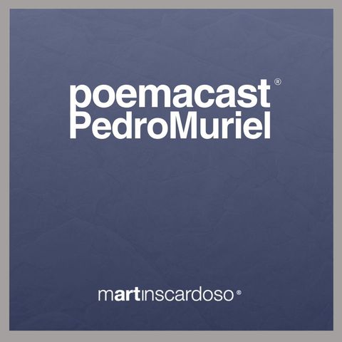 Evandro Affonso Ferreira - Comentário sobre Pedro Muriel