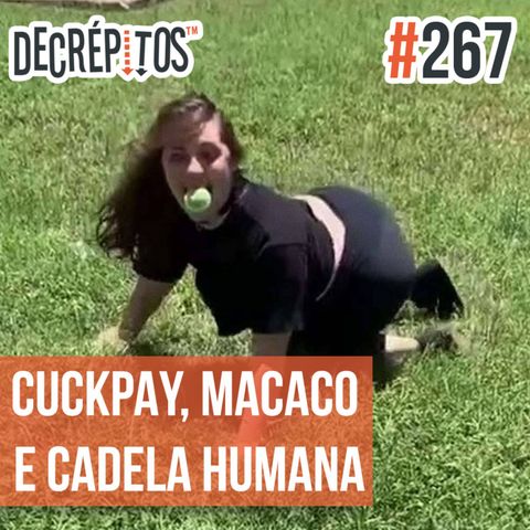 Decrépitos 267 - VACILO NEWS: CuckPay, Macaco Alcoólatra e Cadela Humana