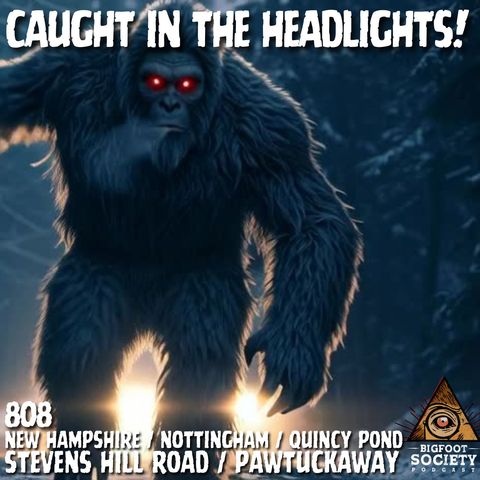 Caught in the Headlights! | New Hampshire