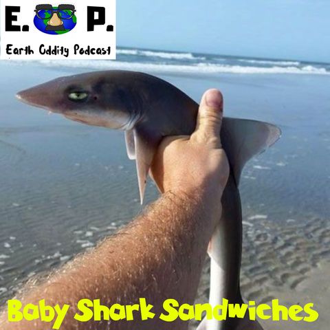 Earth Oddity 54: Baby Shark Sandwiches
