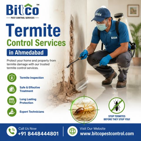 Reliable Termite Control Services for Residential Properties