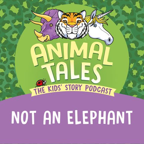 Not An Elephant