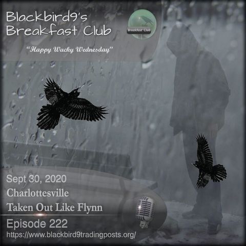 Charlottesville Taken Out Like Flynn - Blackbird9 Podcast