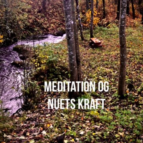 10. Meditation og nuets kraft