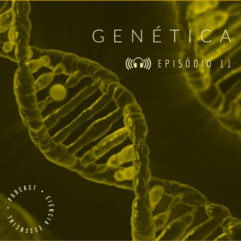 GENÉTICA: Os cromossomos e os genes