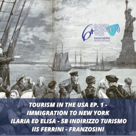 Tourism in the USA Episode. 2 - Immigration to New York
