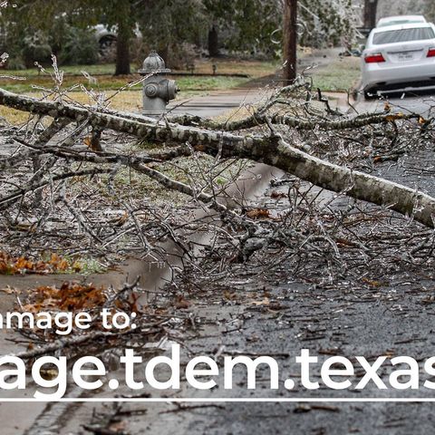 Report winter storm damage to the Texas division of emergency management