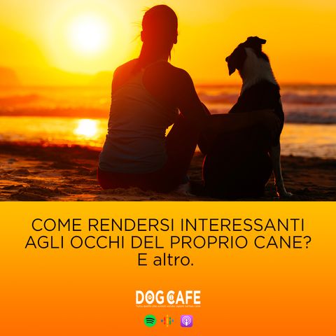 #084 - Come rendersi interessanti agli occhi del cane? - diretta del 10.12.21