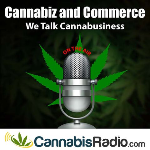 Custom Data Analytics Solutions for Cannabusiness Owners