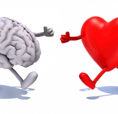 Amor y Cerebro