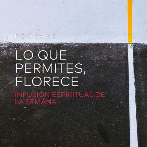 Lo Que Permites, Florece
