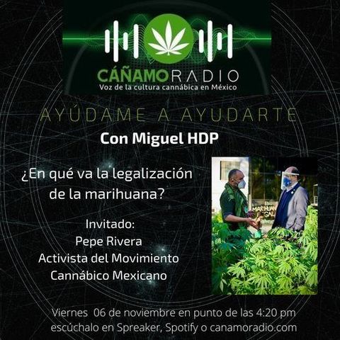 AYUDAME A AYUDARTE MOVIMIENTO CANNABICO MEXICANO