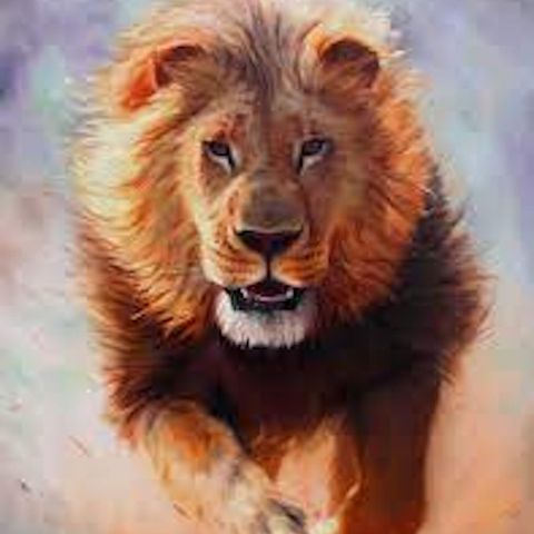 The Weekly Inspiration -  The Lion