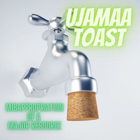 Ujamaa Toast 71521-5 "Misappropriation of a Major Resource"