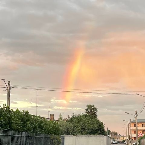 False aspettative e miracoli veri. Vangelo e omelia | 20ª Domenica 240818