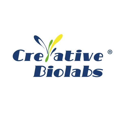 Oncolytic Virotherapy Basic Knowledge Review_Creative Biolabs