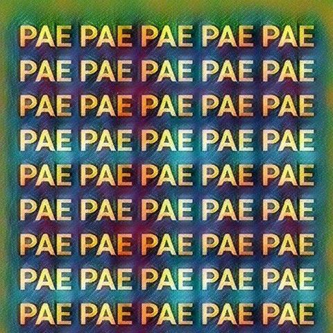 pae panther pride 4