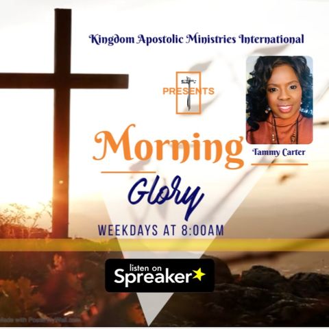 Morning Glory