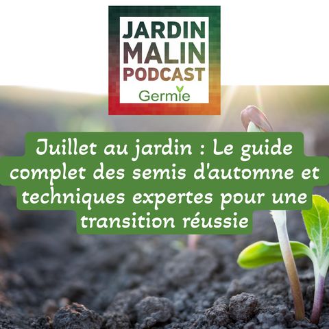 Juillet au jardin : Le guide complet des semis d'automne et techniques expertes pour une transition réussie