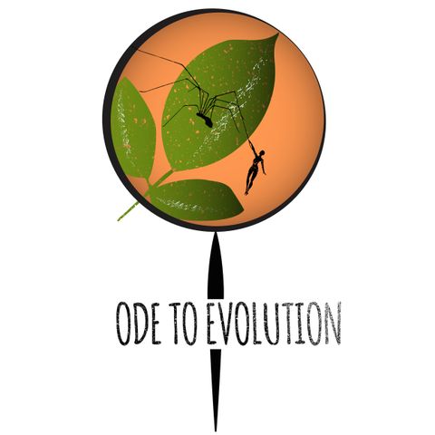 Ode to Evolution - The Tree of Life