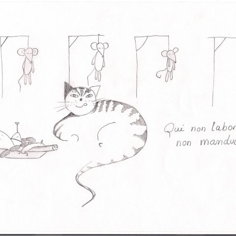 Risi senza bisi