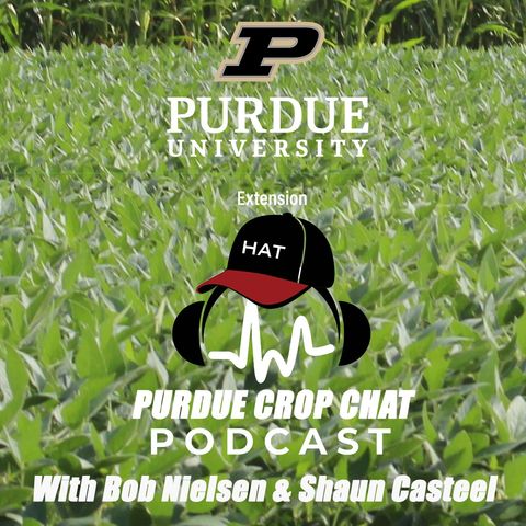 Episode 1 - Welcome to Purdue Crop Chat.mp3