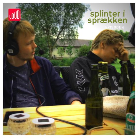 Splinter i sprækken #6 Hør, spil og drik!