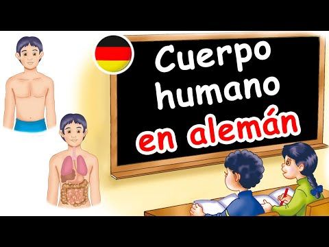 09. 🇩🇪  El cuerpo humano ► en ALEMÁN 💛