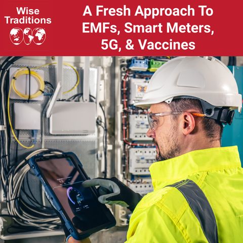 463: A Fresh Approach To EMFs, Smart Meters, 5G, & Vaccines