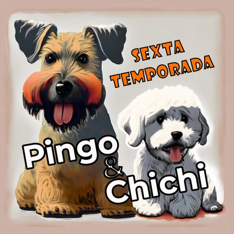 Pingo & Chichi