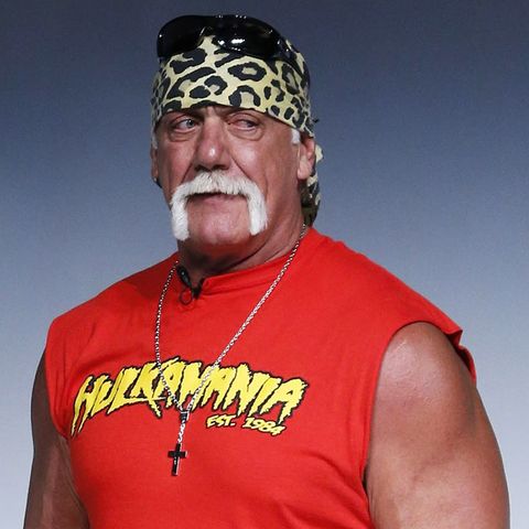 Hulk Hogan's Comments & WWE's Response