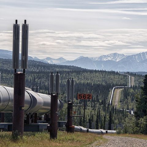 Dai microbi una speranza per il risanamento del suolo in Alaska