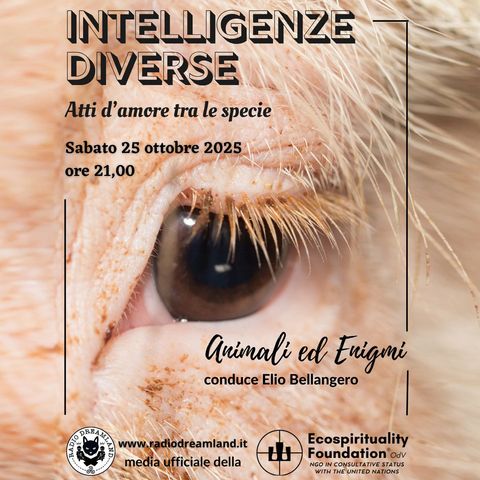Intelligenze diverse