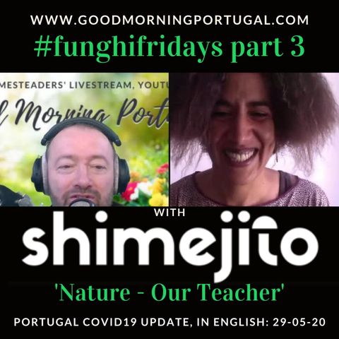 Portugal Covid news & weather update PLUS 'Nature, Our Teacher'
