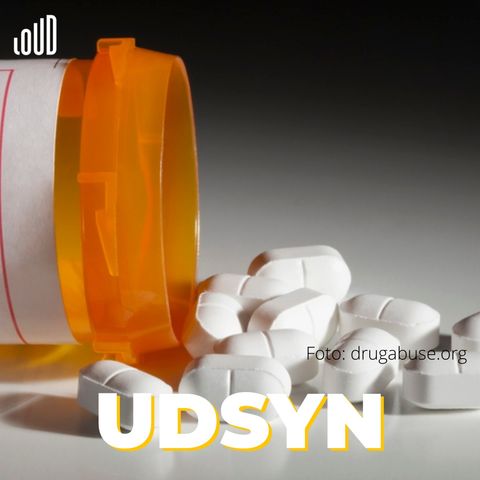 ”Hver dag dør mere end 250 amerikanere af en overdosis”