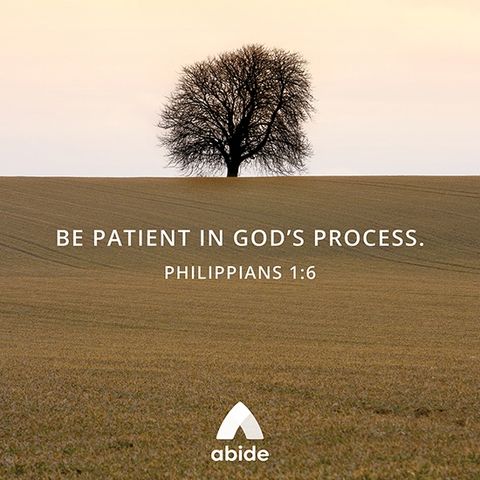 Patience in the Process