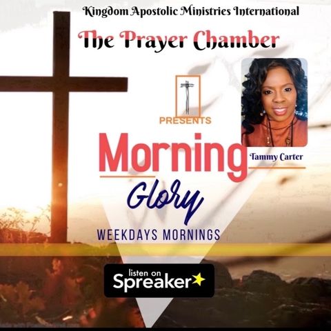 Morning Glory