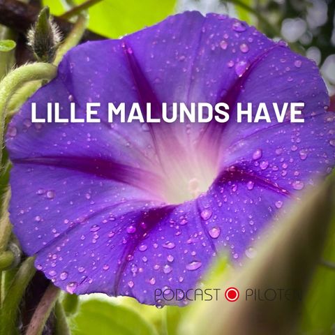 Havens linjer