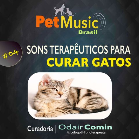 #04 Sons Terapêuticos para Curar Gatos | PetMusic